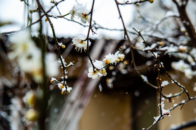 img3.webp